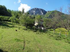 GRANDE PARCELLE PROCHE VILLAGE