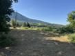  TERRAIN DE 1600 M2 AVEC VUE IMPRENABLE SUR LE ROYANS (SOUS OFFRE D'ACHAT)